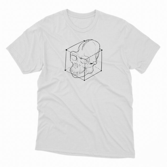 Anatomy Of A Skull - Image 1